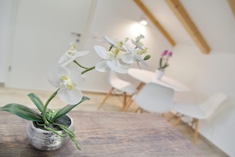 Holiday home in Dalmatia