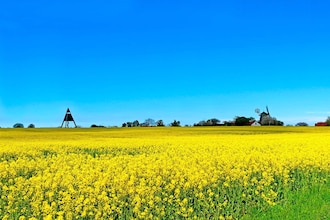 2-4 pers.Lejl(7)55 m2