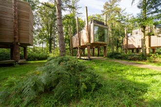 The Leaf by YourNature