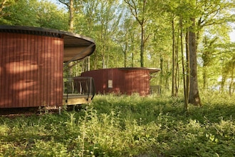 The Large Leaf by YourNature