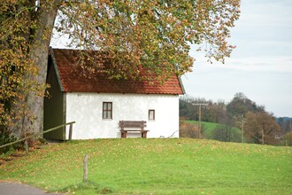 Holzmann