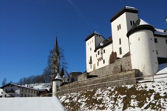 Höring