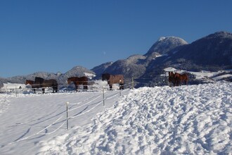 Chalet Rosa