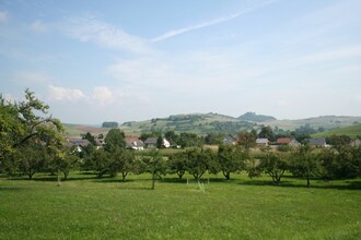 Lehn
