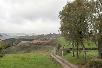 Blick zu Luxemburg