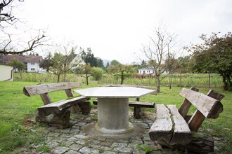 Maurer