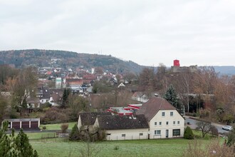 Hansmann