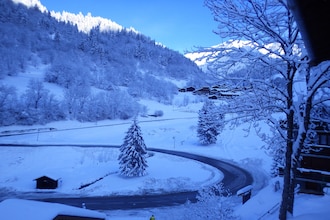 Residence les Edelweiss 7