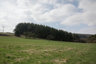 Im Elzbachtal