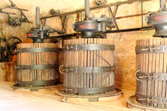 Gli Ulivi