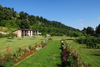 Gli Ulivi