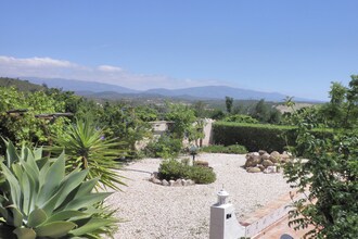 Quinta Velha - Papoula