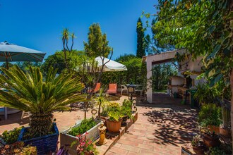 Quinta Velha - Papoula