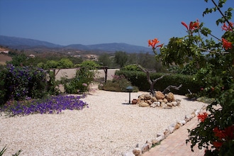 Quinta Velha - Girassol