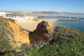Quinta Velha - Girassol