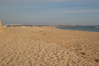 Quinta Velha - Girassol