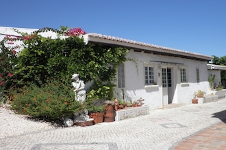 Quinta Velha - Girassol
