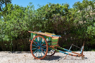 Quinta Velha - Girassol