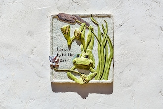 Quinta Velha - Girassol