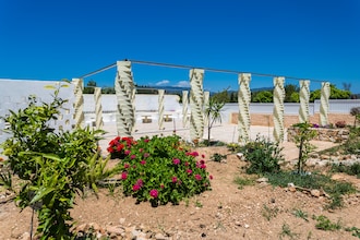 Quinta Velha - Girassol
