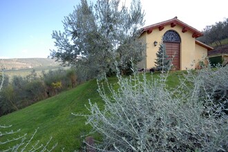 Ginestra