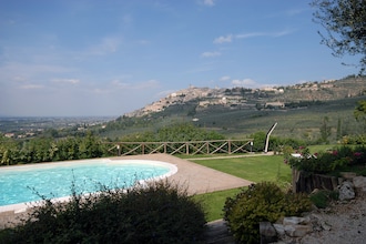 Ginestra
