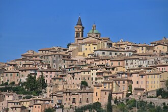 Ginestra