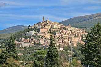 Ginestra