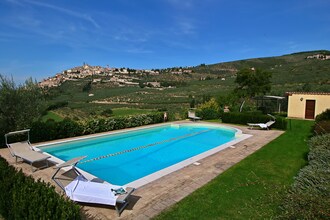 Ginestra