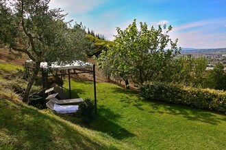 Ginestra