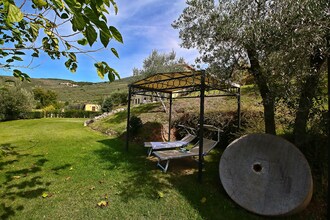 Ginestra