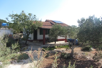 House Rosemary