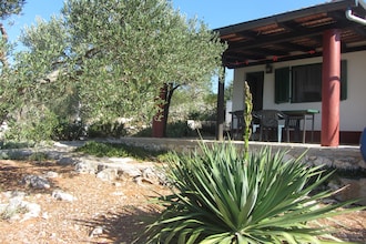 House Rosemary