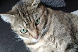 Wunder