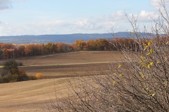 Horejany