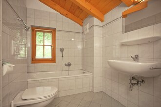Chalets im Wald