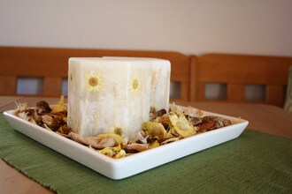 Chalet Winkler Mittersill