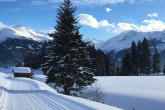 Chalet Winkler Mittersill