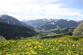 Obersteffengut