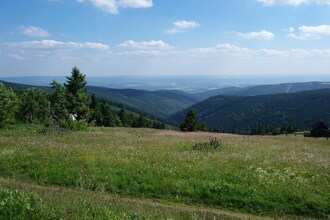 Tsjechie