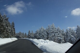 Tsjechie