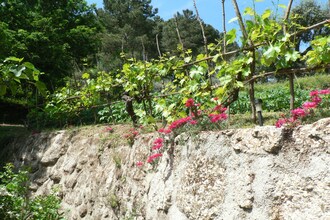 Quinta Moitas