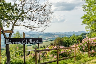 La Cinciallegra