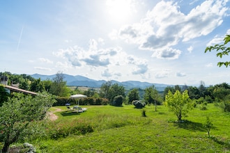 La Cinciallegra