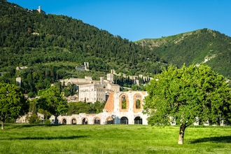 La Cinciallegra