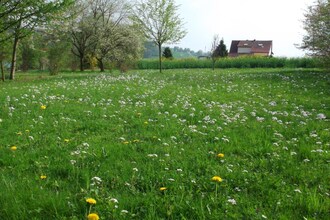Country House Alheim-Obergude