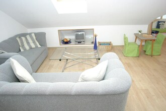 Zilverkruid