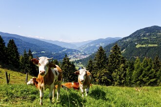 Kreischberg