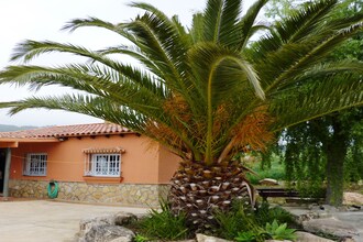 Casa Torrejón