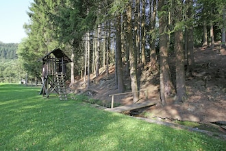 Dachsbau